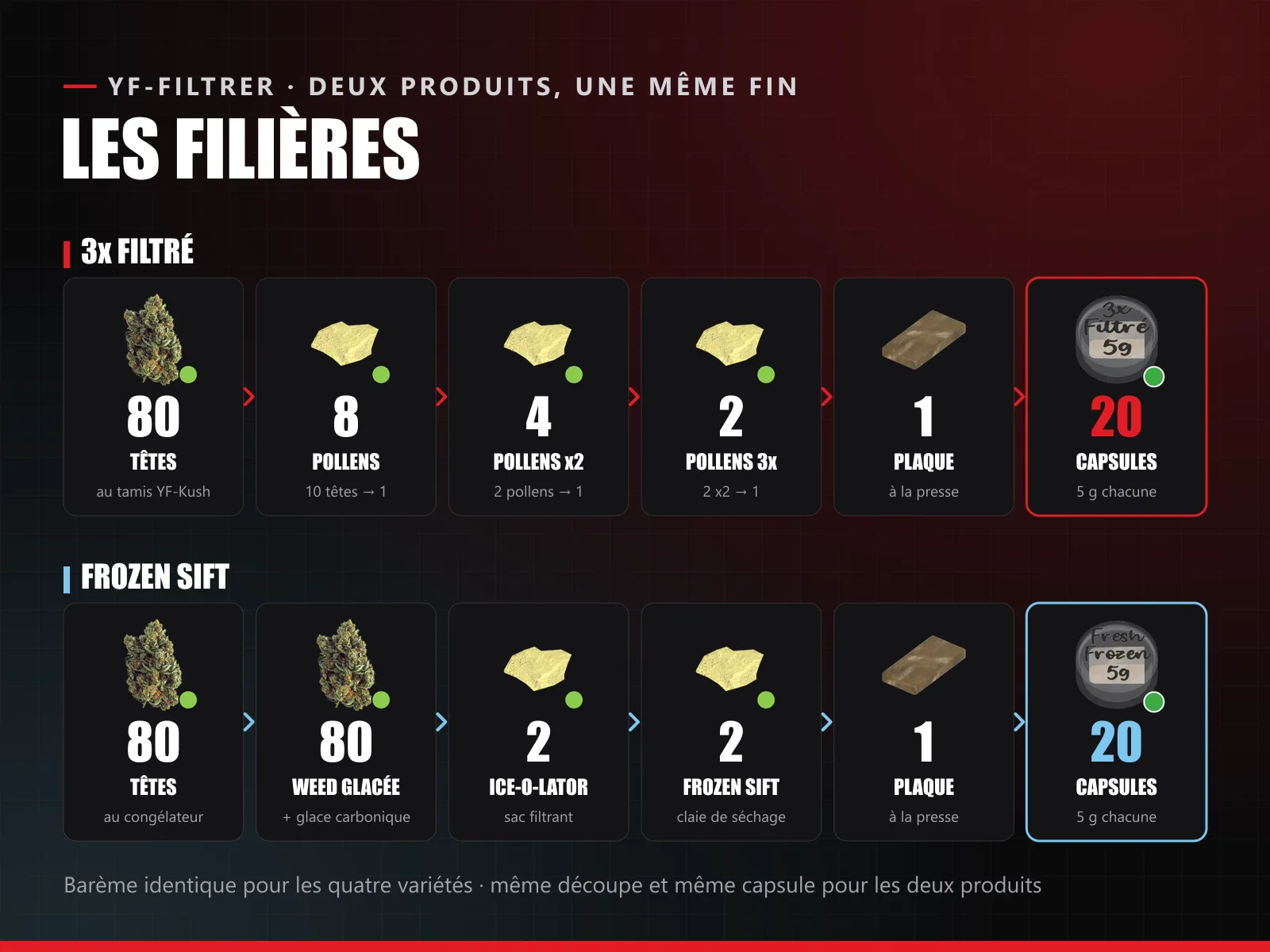 YF-Filtrer FiveM – view 2